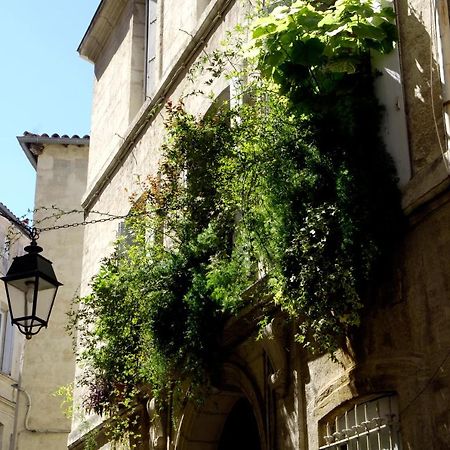 "Chambre D'Autres", Massages Montpellier Exterior foto